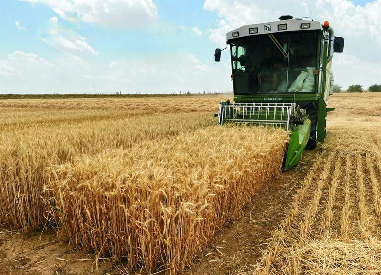 El ITAP de la Diputación de Albacete participa en el proyecto de investigación supra-autonómico Climsostrigo