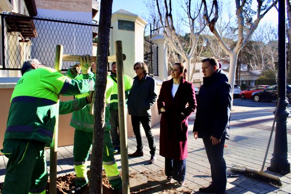 El Ayuntamiento inicia la segunda fase del Plan de reposición de arbolado, que incluye plantar 254 ejemplares en los próximos meses “para una ciudad más atractiva y saludable”