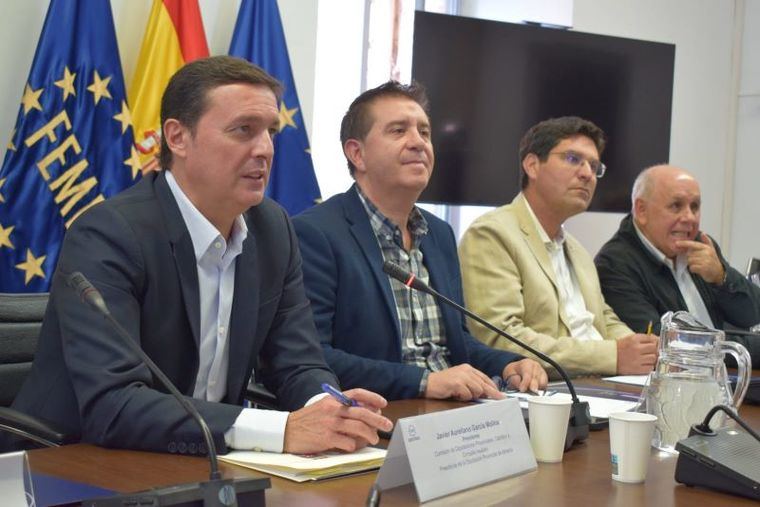 Cabañero participa en la reunión de la Subcomisión Permanente de la Comisión de Diputaciones de la FEMP