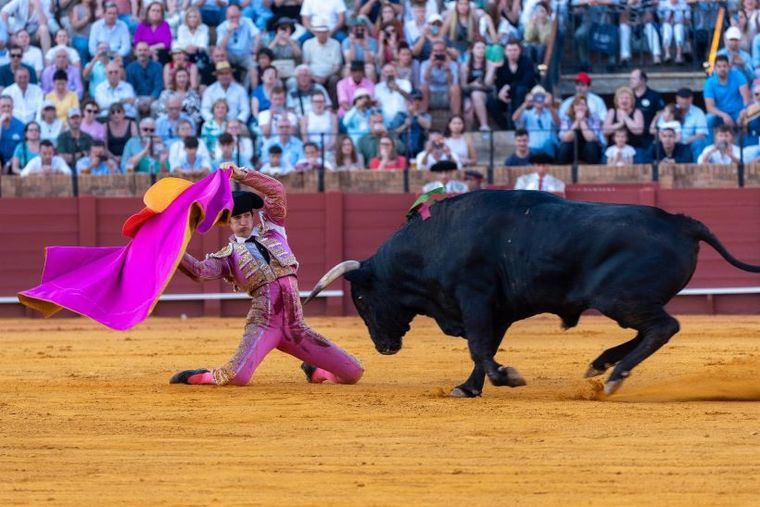 Castilla-La Mancha mantiene su intención de crear un galardón taurino, tras oficializar el BOE la supresión del Premio de Tauromaquía